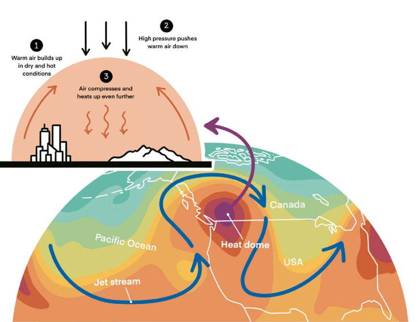 Heatwaves strikes back