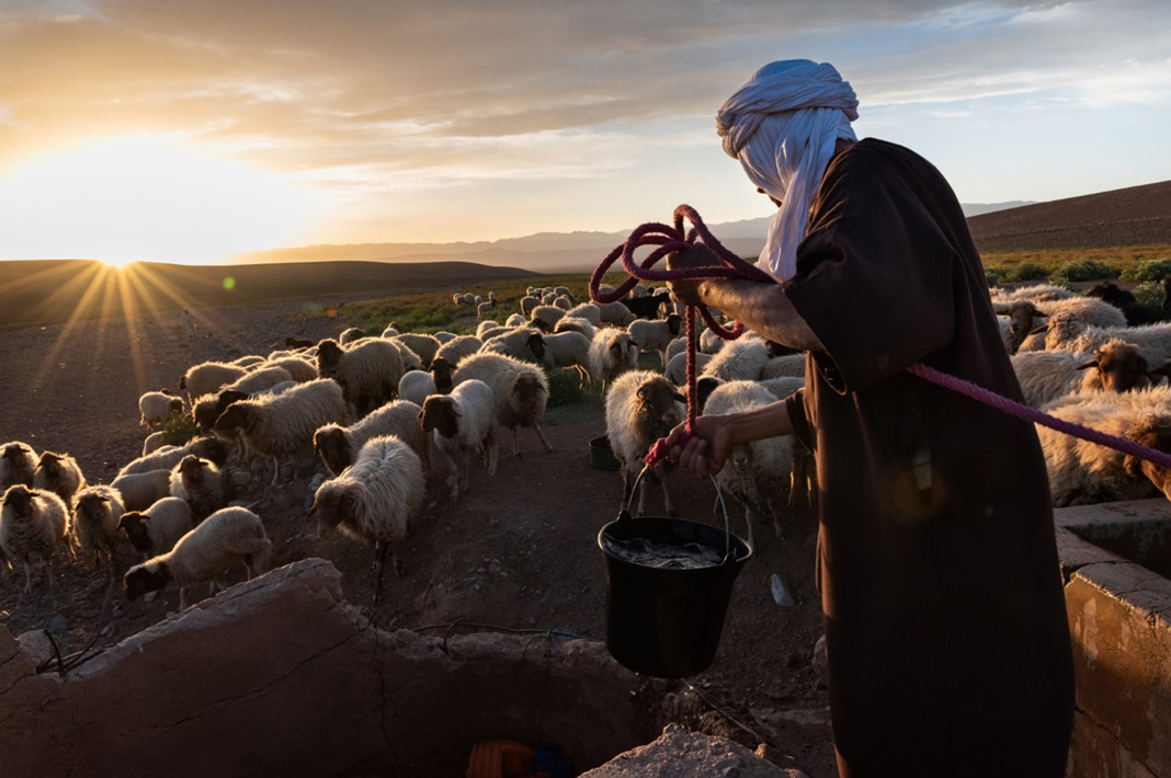 Could traditional agropastoral systems be the key to a resilient future? 