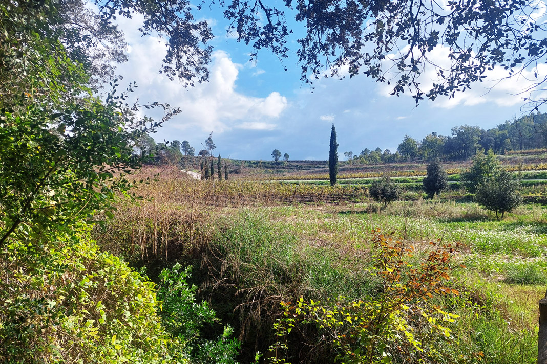 Mediterranean resilience in action: best practices for a sustainable future