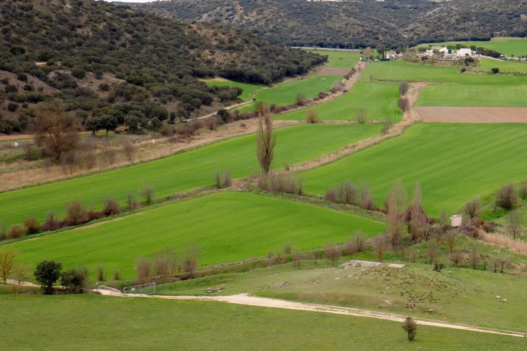 A thematic social network to connect Iberian agroforestry pioneers